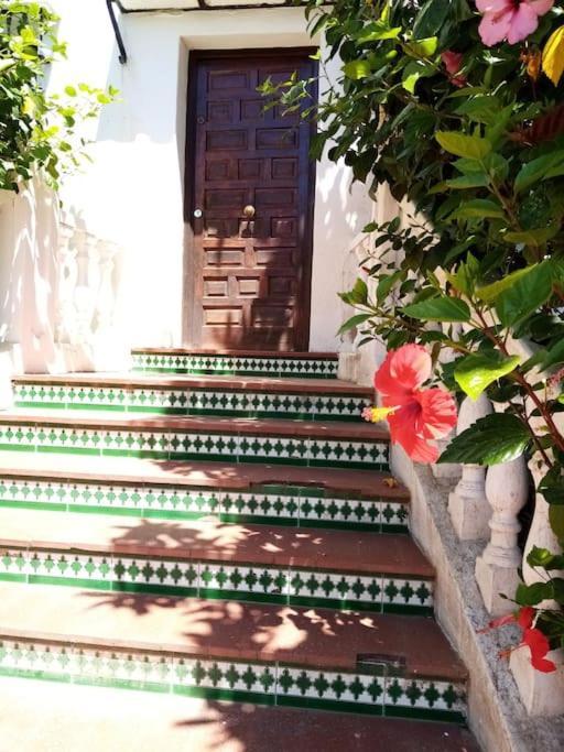 Studio La Orquidea - Calahonda Daire Sitio de Calahonda Dış mekan fotoğraf